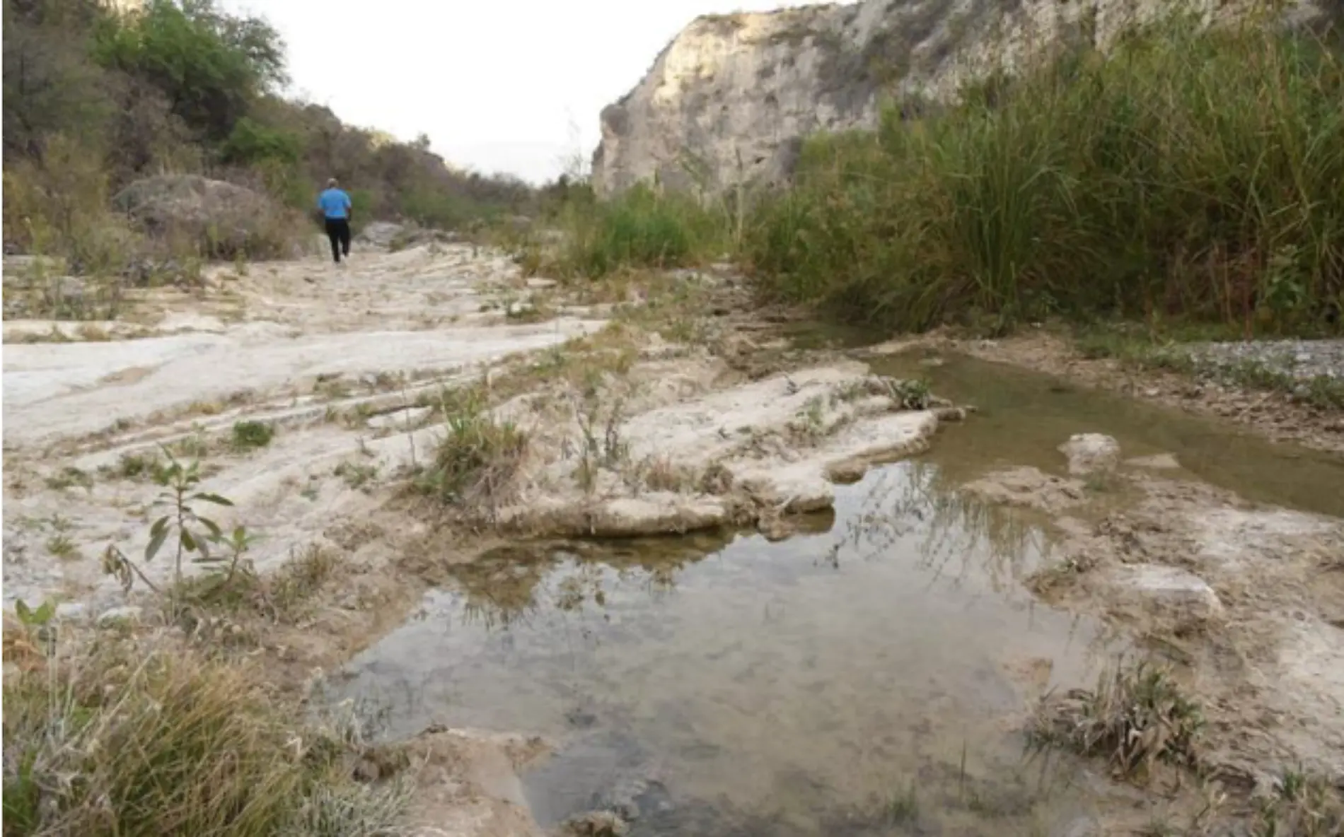 Ríos y nogales consumidos por la sequía